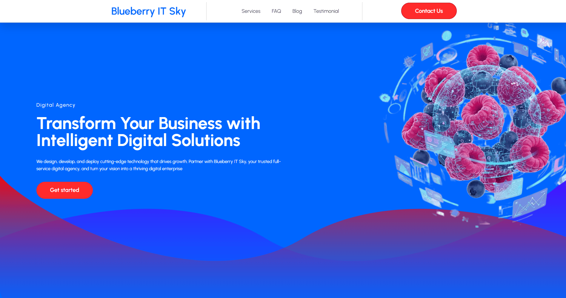 Blueberry IT Sky - Digital Agency